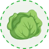 汇聚2026世界杯的精彩 - 世界杯竞猜