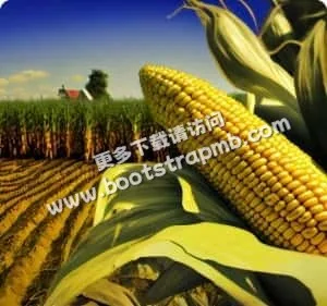 我们致力于提供最权威的赛事信息 - 世界杯竞猜